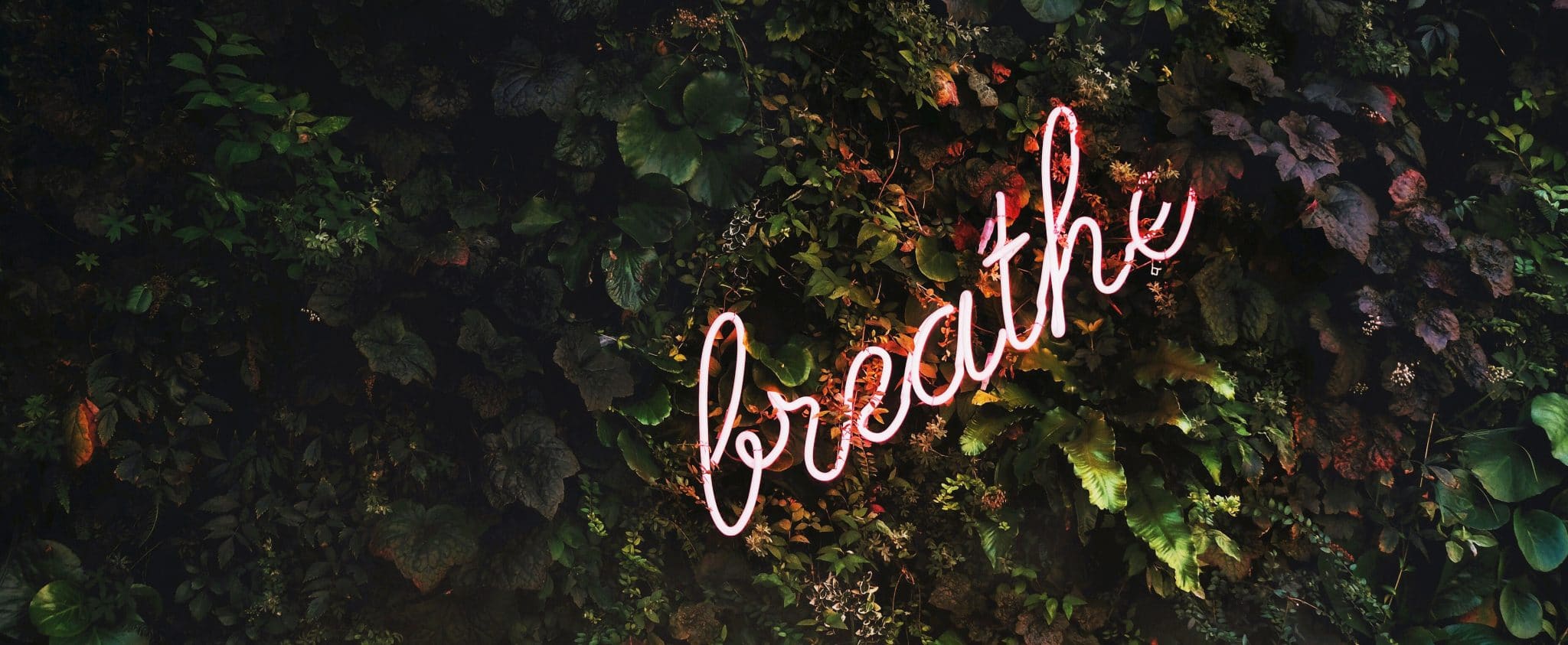breathe
