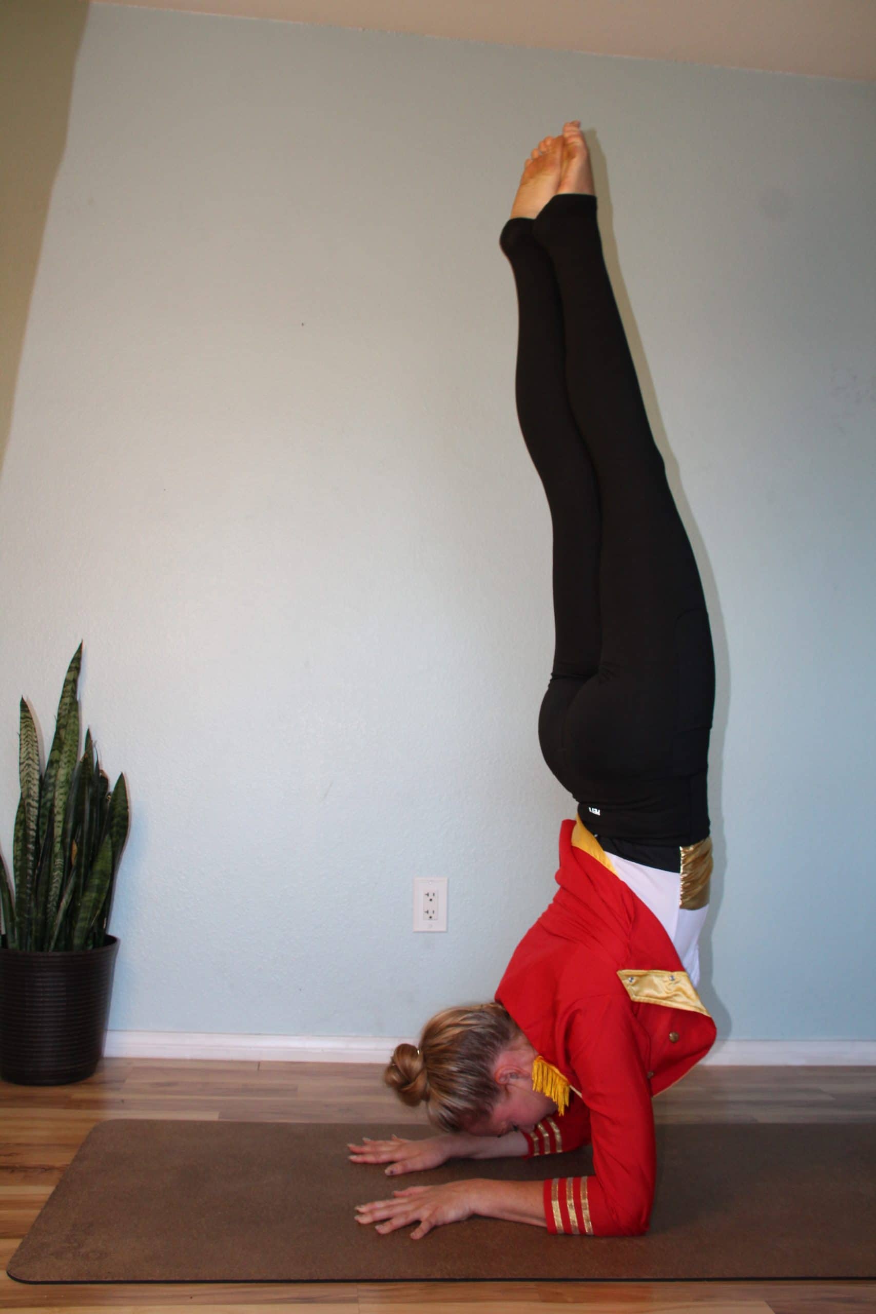 Forearm Stand Version 3