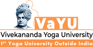 VAYU USA logo