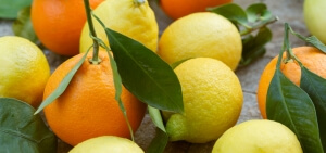 Lemons and oranges with leaves