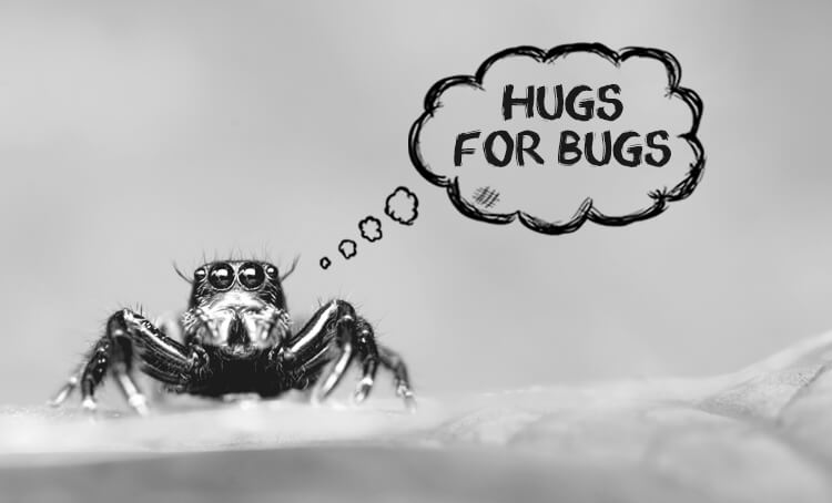 Nonviolence to bugs